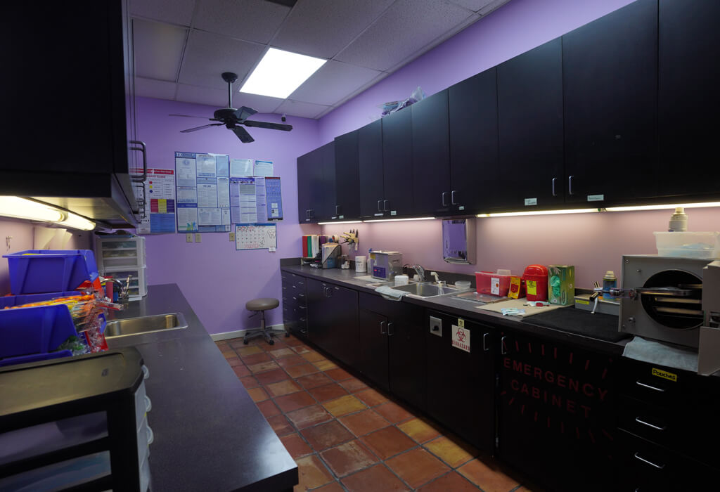 Our Office